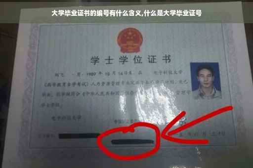 大学毕业证书的编号有什么含义,什么是大学毕业证号