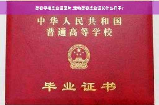 美容学校毕业证图片,宠物美容毕业证长什么样子?