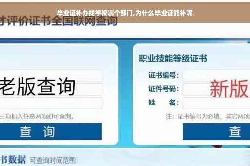 毕业证补办找学校哪个部门,为什么毕业证能补呢