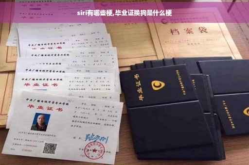siri有哪些梗,毕业证换狗是什么梗