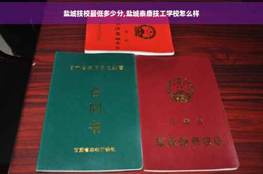 盐城技校最低多少分,盐城泰康技工学校怎么样