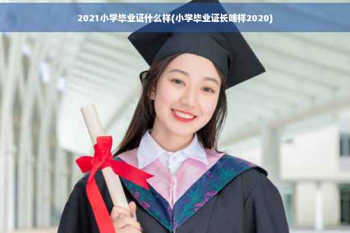 2021小学毕业证什么样(小学毕业证长啥样2020)