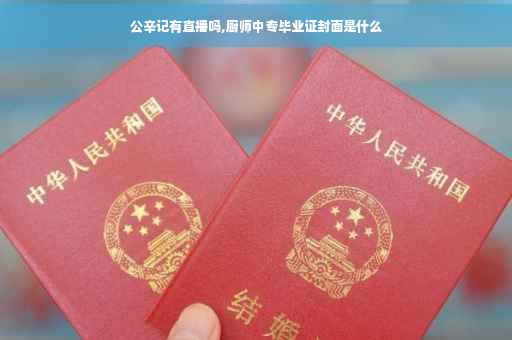 公辛记有直播吗,厨师中专毕业证封面是什么