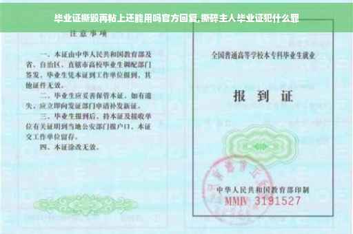 毕业证撕毁再粘上还能用吗官方回复,撕碎主人毕业证犯什么罪