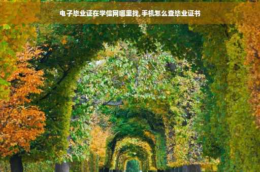 电子毕业证在学信网哪里找,手机怎么查毕业证书