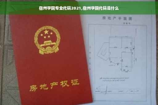 宿州学院专业代码2021,宿州学院代码是什么