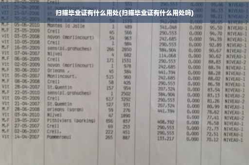 扫描毕业证有什么用处(扫描毕业证有什么用处吗)