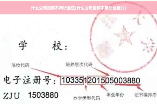 什么公司招聘不用毕业证(什么公司招聘不用毕业证的)