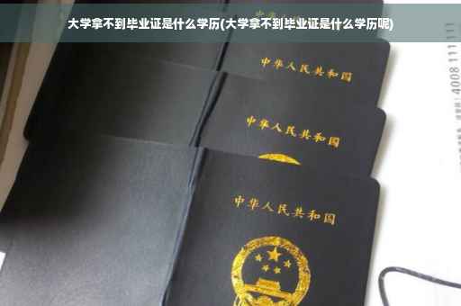 大学拿不到毕业证是什么学历(大学拿不到毕业证是什么学历呢)