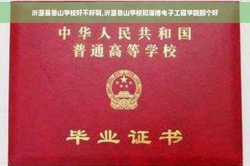 沂源县鲁山学校好不好啊,沂源鲁山学校和淄博电子工程学院那个好 沂源县鲁山学校好不好啊,沂源鲁山学校和淄博电子工程学院那个好