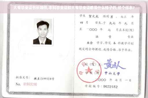 大专毕业证书长啥样,本科毕业证和大专毕业证都是什么样子的,给个样本?
