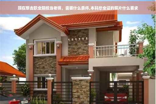 现在想去职业院校当老师，需要什么条件,本科毕业证的照片什么要求