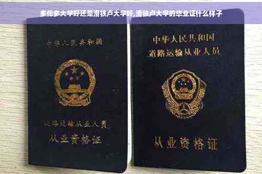 多伦多大学好还是滑铁卢大学好,滑铁卢大学的毕业证什么样子
