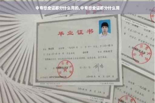 中专毕业证都分什么用的,中专毕业证都分什么用