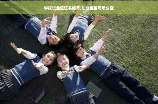 学校毕业证证书编号,毕业证编号怎么查