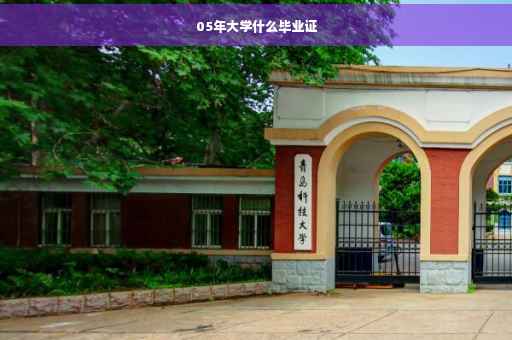 05年大学什么毕业证