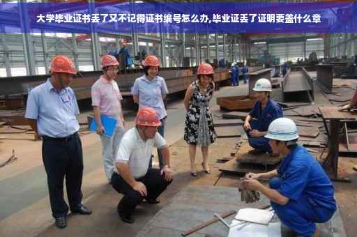 大学毕业证书丢了又不记得证书编号怎么办,毕业证丢了证明要盖什么章