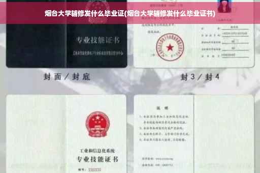 烟台大学辅修发什么毕业证(烟台大学辅修发什么毕业证书)