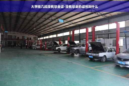 大学挂几科没有毕业证-没有毕业的证书叫什么