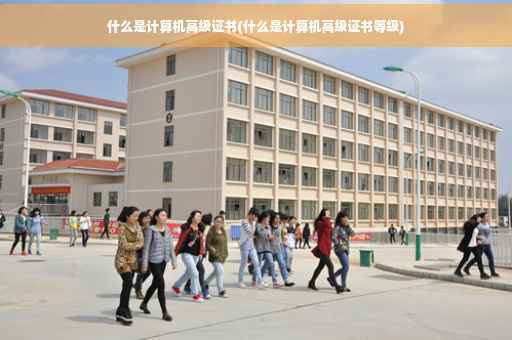 什么是计算机高级证书(什么是计算机高级证书等级)