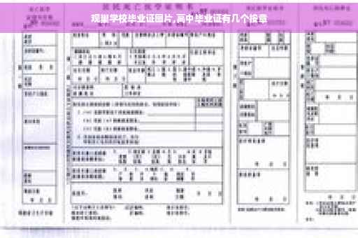 观巢学校毕业证图片,高中毕业证有几个按章