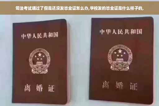 司法考试通过了但是还没发毕业证怎么办,学校发的毕业证是什么样子的,