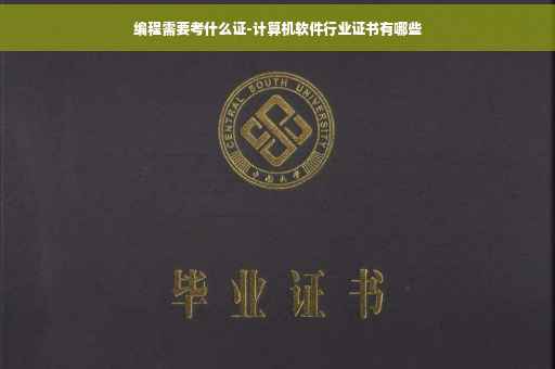 编程需要考什么证-计算机软件行业证书有哪些