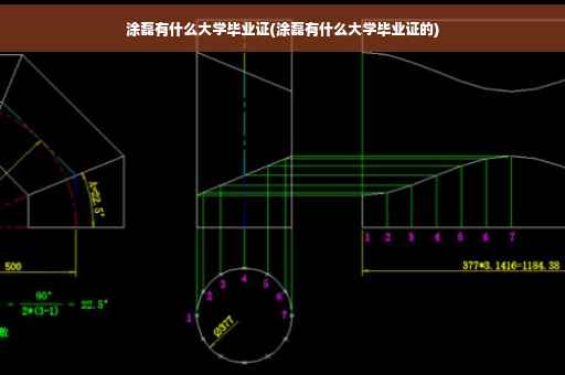 涂磊有什么大学毕业证(涂磊有什么大学毕业证的)