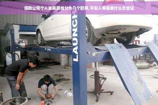保险公司个人发展路线分为几个职级,平安人寿需要什么毕业证