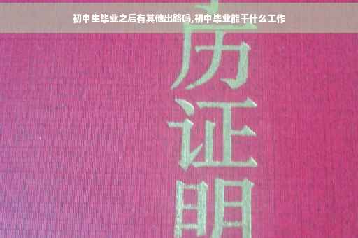 初中生毕业之后有其他出路吗,初中毕业能干什么工作