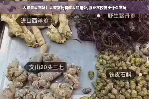 大专是大学吗？大专文凭有多大的用处,职业学校属于什么学历