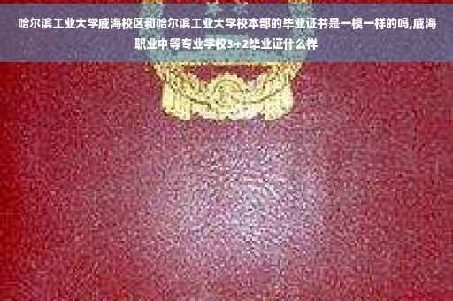 哈尔滨工业大学威海校区和哈尔滨工业大学校本部的毕业证书是一模一样的吗,威海职业中等专业学校3+2毕业证什么样