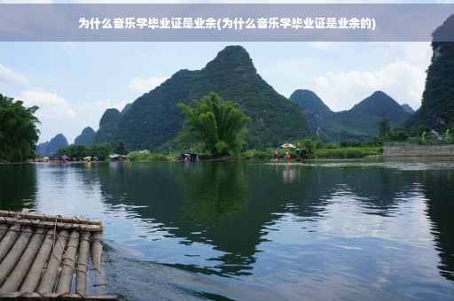 为什么音乐学毕业证是业余(为什么音乐学毕业证是业余的)