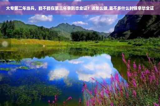 大专第二年当兵，能不能在第三年拿到毕业证？该怎么做,差不多什么时候拿毕业证