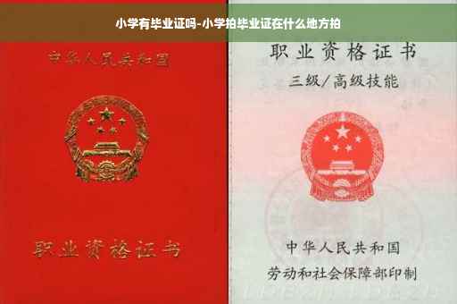 小学有毕业证吗-小学拍毕业证在什么地方拍