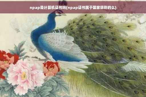 npap是计算机证书吗(npap证书属于国家级别的么)