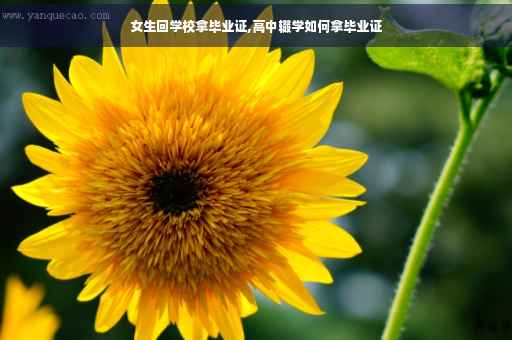 女生回学校拿毕业证,高中辍学如何拿毕业证