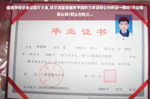 德强学校毕业证图片大全,哈尔滨德强商务学院的三本证和公办的证一样吗?大公司承认吗?和公办的三...