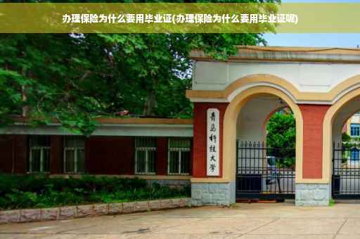 办理保险为什么要用毕业证(办理保险为什么要用毕业证呢)