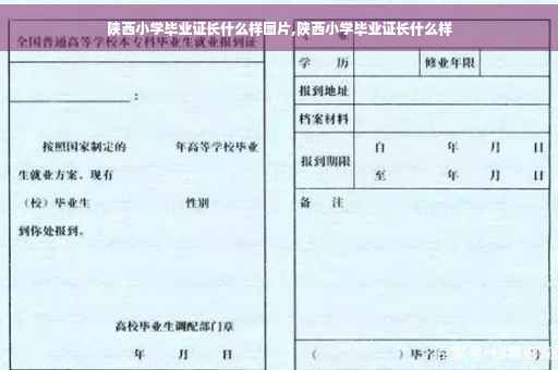 陕西小学毕业证长什么样图片,陕西小学毕业证长什么样