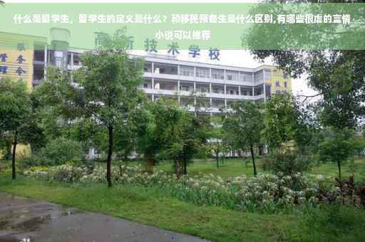 什么是留学生，留学生的定义是什么？和移民预备生是什么区别,有哪些很虐的言情小说可以推荐
