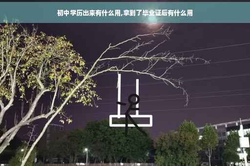 初中学历出来有什么用,拿到了毕业证后有什么用
