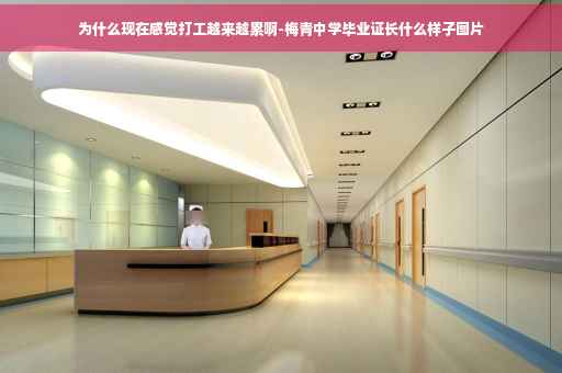 为什么现在感觉打工越来越累啊-梅青中学毕业证长什么样子图片