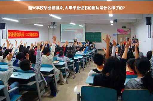 新兴学校毕业证图片,大学毕业证书的图片是什么样子的?