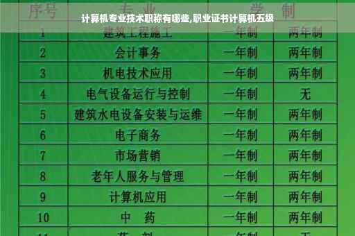 计算机专业技术职称有哪些,职业证书计算机五级