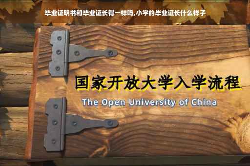 毕业证明书和毕业证长得一样吗,小学的毕业证长什么样子