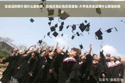 毕业证的照片是什么底的啊，白色还是红色还是蓝色-大学生毕业证用什么颜色的照片