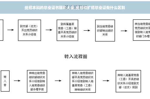 统招本科的毕业证书图片大全,统招和扩招毕业证有什么区别