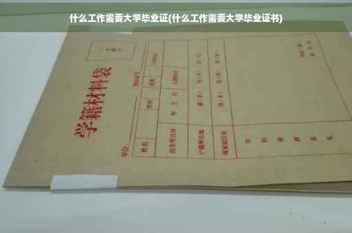 什么工作需要大学毕业证(什么工作需要大学毕业证书)