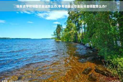 没有去学校领取毕业证怎么办,中专毕业证毕业后没去领取怎么办?